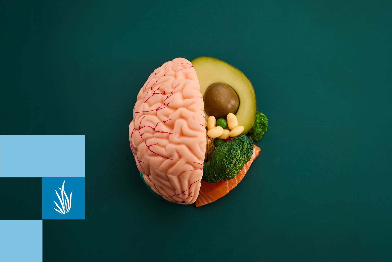 Ilustração para o artigo: Intestino: por que ele é considerado nosso “segundo cérebro”?