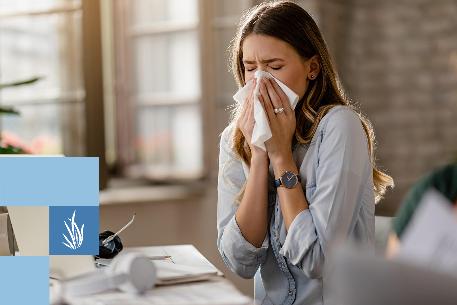 Ilustração para o artigo: PEA, Quercetina e Luteolina: aliados contra as alergias sazonais